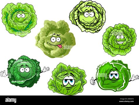 Cartoon Cabbage Leaves Stock Vector Images Alamy