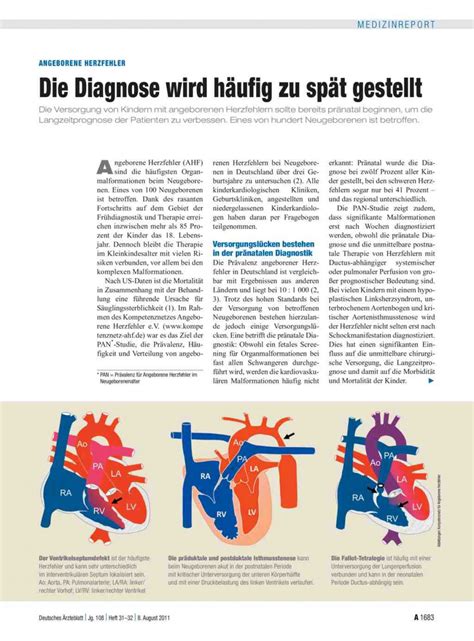 Angeborene Herzfehler Diagnose wird häufig zu spät gestellt