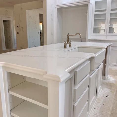 White Quartz Island Ogee Edge Ogee Edge Black Kitchens House