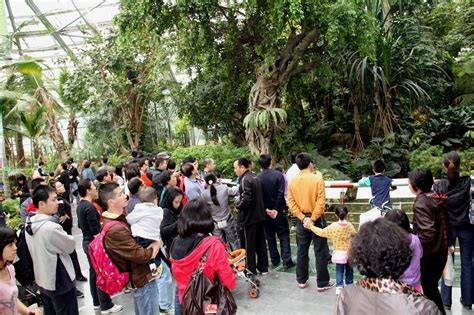 华南植物园举办三八节相聚植物园系列活动 中国科学院