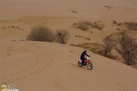 来草甘沙漠旅游区 领略大漠风光 每日头条