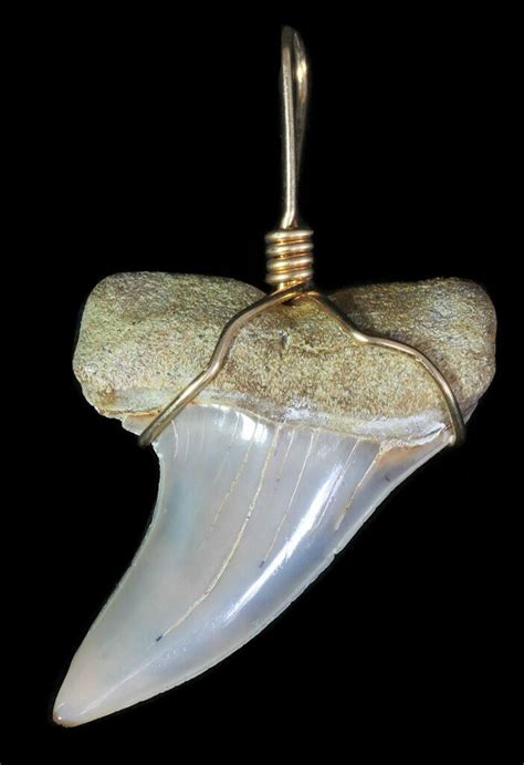 Fossil Mako Tooth Pendant Bakersfield Ca For Sale