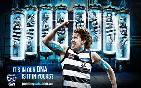 Geelong Cats Wallpapers Wallpaper Cave