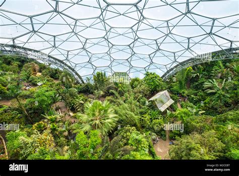 Rainforest Biome Eden Project Cornwall England Uk Stock Photo Alamy