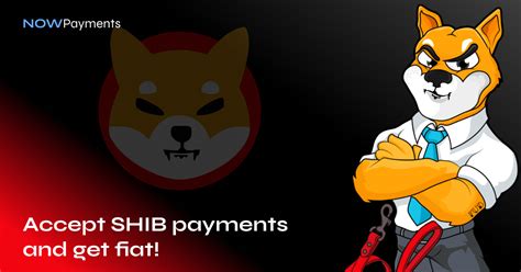 How To Get Payments In SHIB And Withdraw Fiat NOWPayments