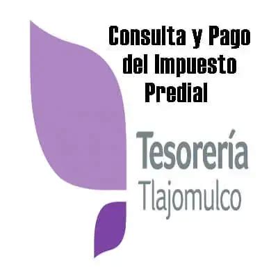 Consulta Y Pago Del Impuesto Predial De Tlajomulco 2025 Brenp