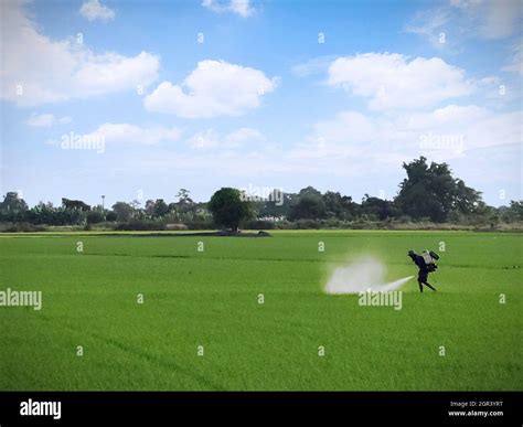 Fertilizer Spraying Lawn Hi Res Stock Photography And Images Alamy