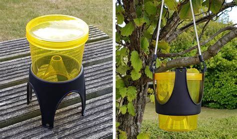 Hangingfreestanding Wasp Trap Wasps And Fly Control Green Gardener