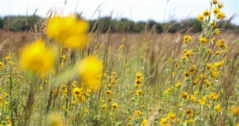 Northeast Sedgwick County Park | Sedgwick County, Kansas