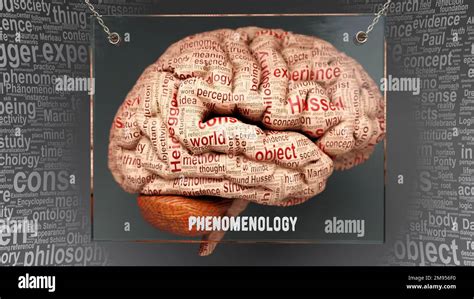 Phenomenology In Human Brain Dozens Of Important Terms Describing