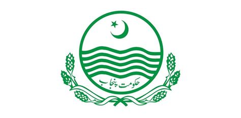 Punjab govt takes major step to make LG institutions functional