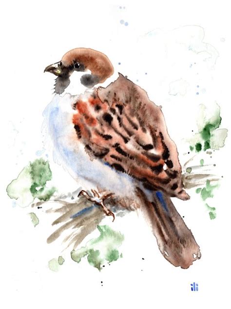 Watercolour Sparrow Painting Print Ilona Creates Paintings Prints