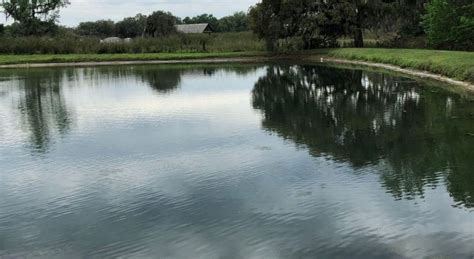 Golf Course Pond Management Captivate And Challenge Players