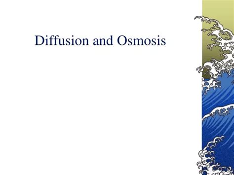 Ppt Diffusion And Osmosis Powerpoint Presentation Free Download Id 9638391