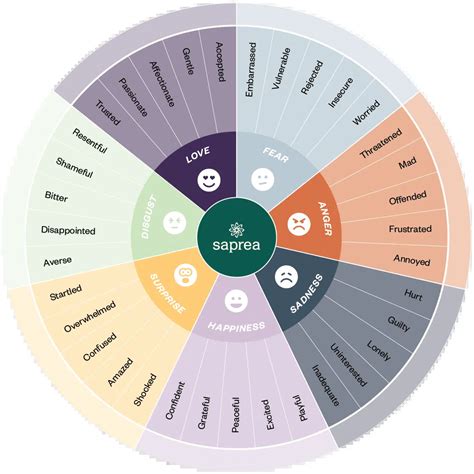 Bánh xe cảm xúc vòng tròn cảm xúc emotion wheel 14 bí quyết Cách