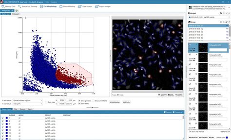 Cell Morphology Assay Holomonitor® Live Cell Assay Phi