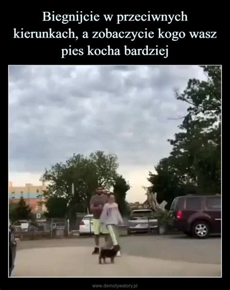 Biegnijcie W Przeciwnych Kierunkach A Zobaczycie Kogo Wasz Pies Kocha