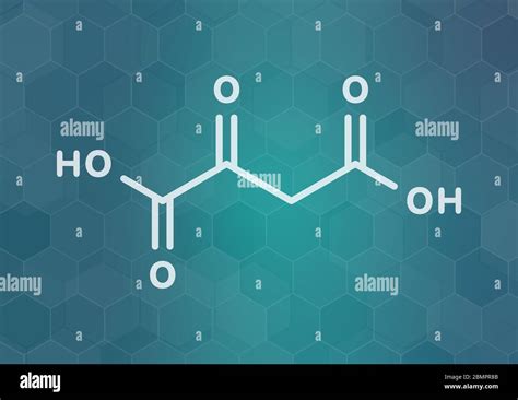 Oxaloacetic Acid Oxaloacetate Metabolic Intermediate Molecule