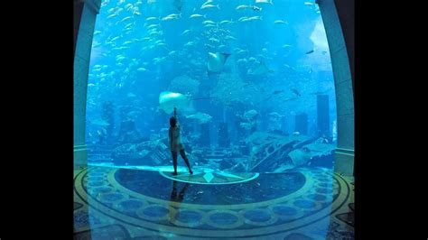 Atlantis The Palm Dubai Aquarium