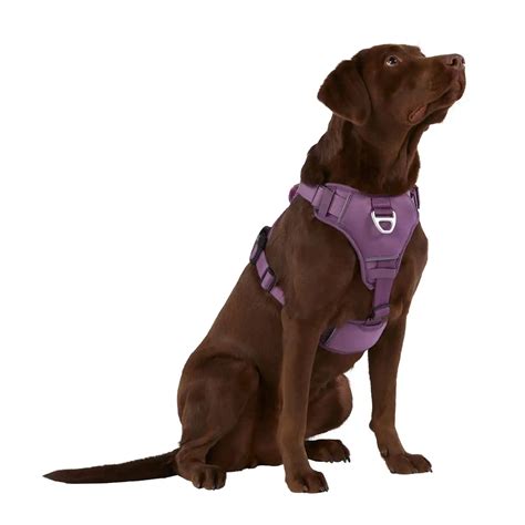 Arcadia Trail Neoprene Dog Harness Reflective Water Resistant In