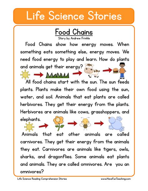 Food Chain Worksheet Assessment For 5th Grade