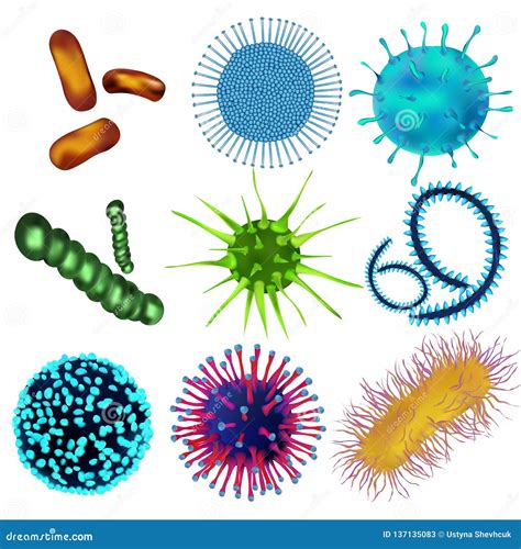 Set Of Viruses And Bacteria Isolated Against A Blom Background Viruses