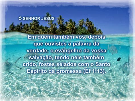 JESUS É O SENHOR VIDA PARA TODOS 11 01 14