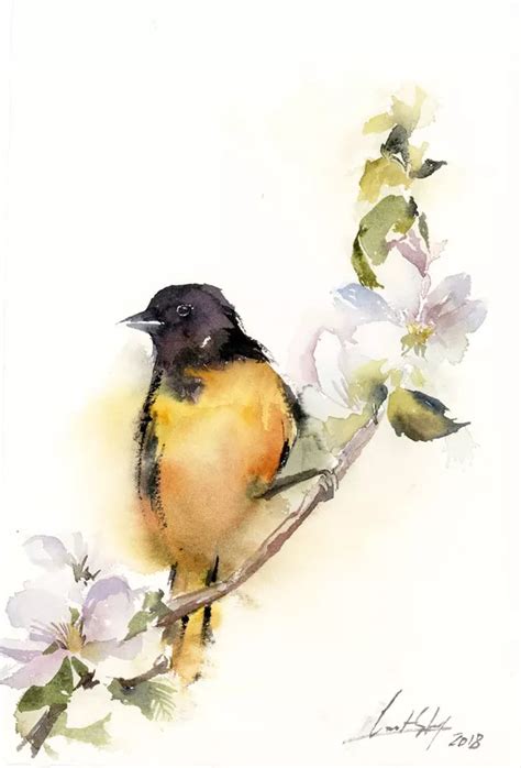 Sophie Rodionov Paintings For Sale Artfinder Birds Painting Watercolor Bird Bird Artwork