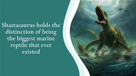 10 Biggest Sea Dinosaurs That Ever Existed On Earth 369Rocks