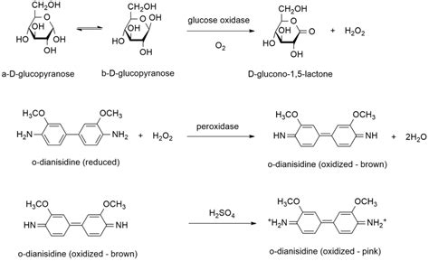 Principle Of The Spectrophotometric Assay Of Glucose Based On Glucose