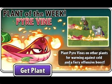 Plants Vs Zombies Pyre Vines Potw Thymed Event Youtube