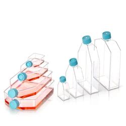 Thermo Scientific Biolite Cell Culture Treated Flasks Flasks Cell