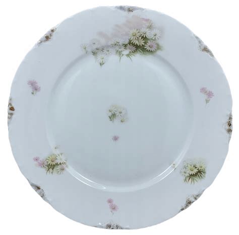 Stary Talerz W Kwiaty Porcelana Rosenthal 13147101047 Allegro Pl