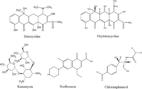 The Chemical Structure Of The Antibiotics Download Scientific Diagram