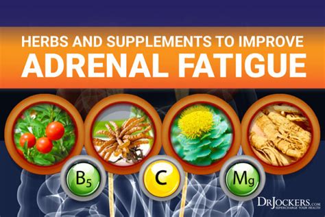 Herbs and Supplements to Improve Adrenal Fatigue - DrJockers.com