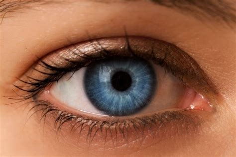 Does Your Eye Color Affect Your Vision Siowfa Science In Our