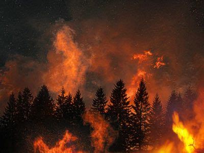 Waldbrand Life Is Strange Forest Fire Scenery