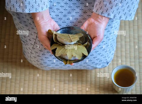 Hands Holding Japanese Kashiwa Mochi And Green Tea On Tatami Stock