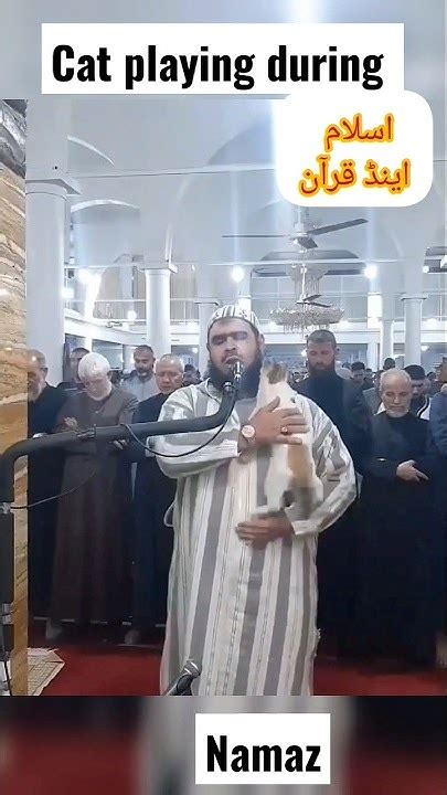 Cat Playing With Imam During Namaz Cat Playing Namaz Viral Youtube