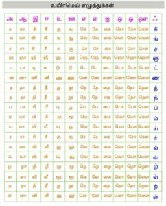 tamil alphabets list  panot book