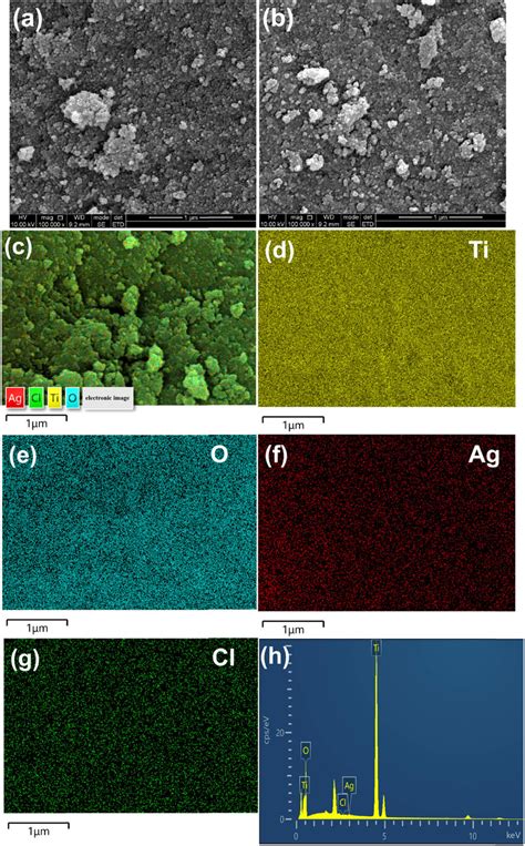 Sem Images Of Arb A Ag Agclarb B Element Mappings Cg And Eds