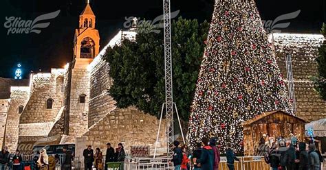 Tel Aviv/Jerusalem: Christmas in Bethlehem and Jerusalem | GetYourGuide