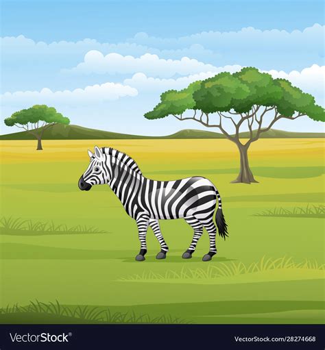 Cartoon Zebra Standing In Savannah Royalty Free Vector Image