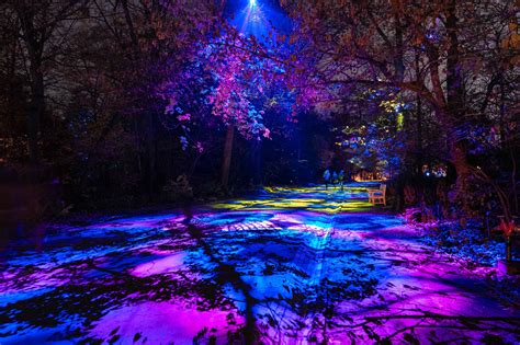 Lumières en Seine Saint Cloud expose son habit de lumière Arts in