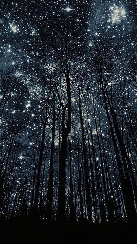 Forest Stars Wallpapers - 4k, HD Forest Stars Backgrounds on WallpaperBat