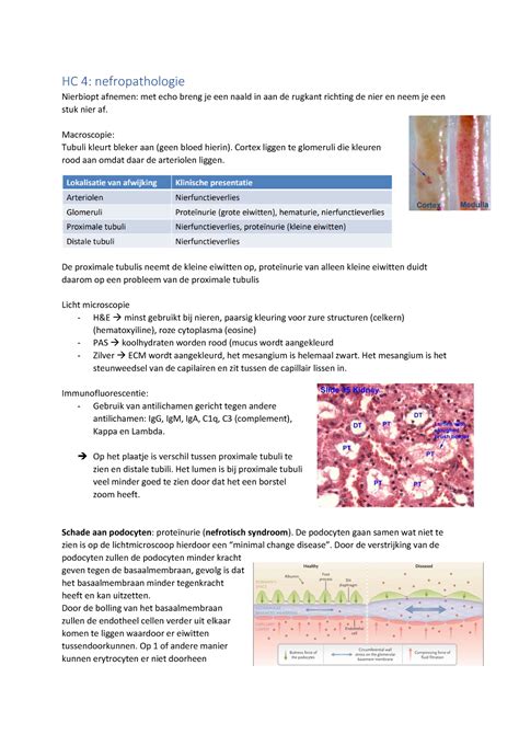 Hoorcollege 4 CIRC 3 HC 4 Nefropathologie Nierbiopt Afnemen Met