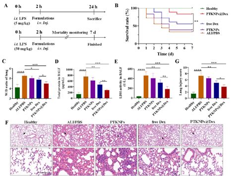 Lung Injury In LPS Induced ALI Mice Was Alleviated By PTKNPs Dex A