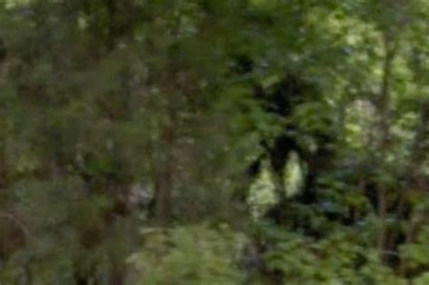 Google Maps User Spots Mysterious Humanoid Figure Lurking In Woods