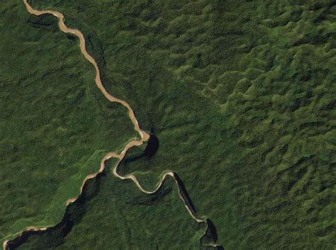 tropical forest observatory high resolution satellite monitoring