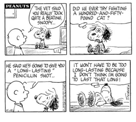 Pin By Steph Brown On Peanuts Snoopy Funny Snoopy Comics Snoopy Cartoon